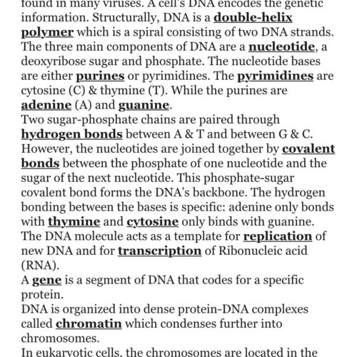 DNA basics follow along notes, quiz, assessment's featured image
