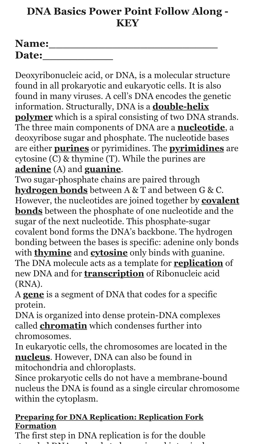 DNA basics follow along notes, quiz, assessment