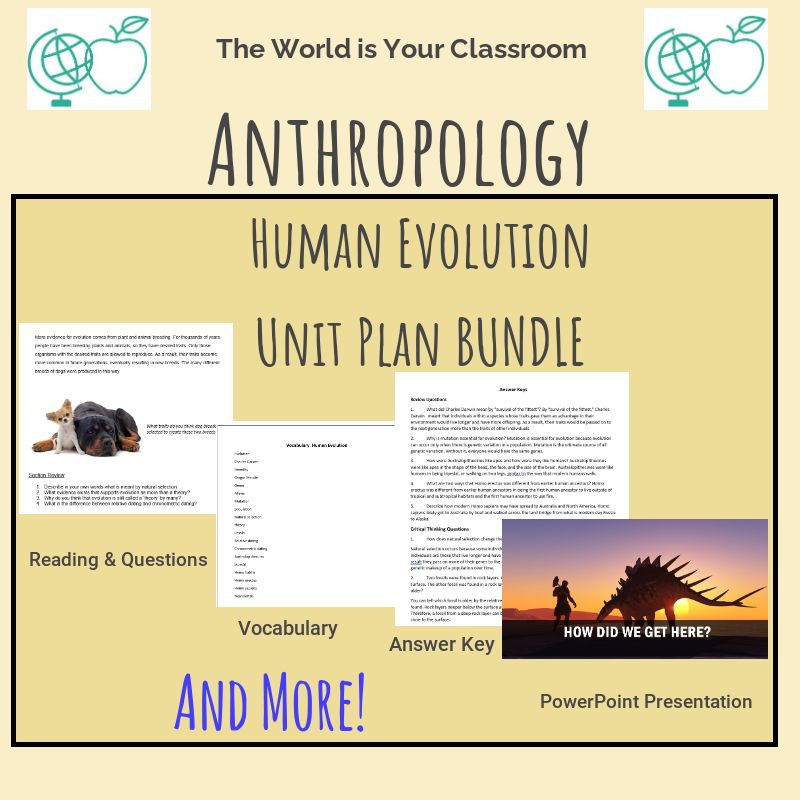 Anthropology- Human Evolution Full Lesson With PowerPoint, Notes ...