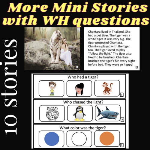 Mini Stories with WH question, PART 2- Question Answers/Visuals's featured image
