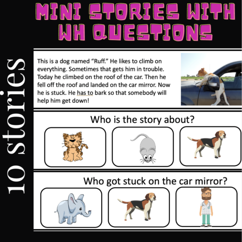10 Short Stories with WH questions/visuals's featured image