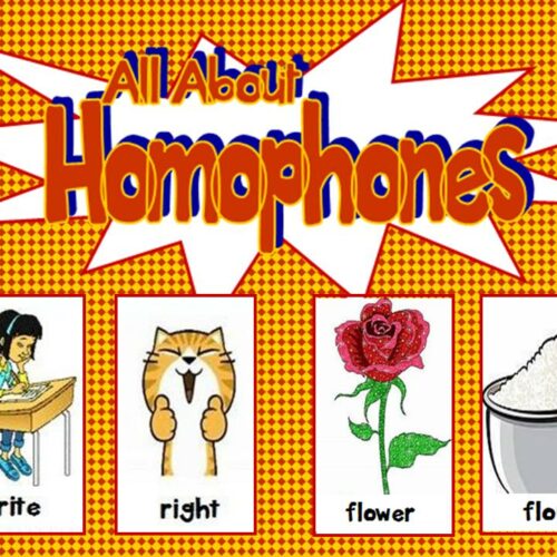 All About Homophones PowerPoint Grades 2 - 5's featured image