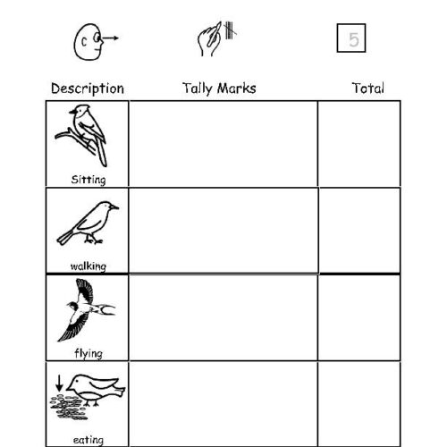 Bird Watch Tally - Outdoor Learning, Fine-Motor, Counting, Numeral Writing's featured image