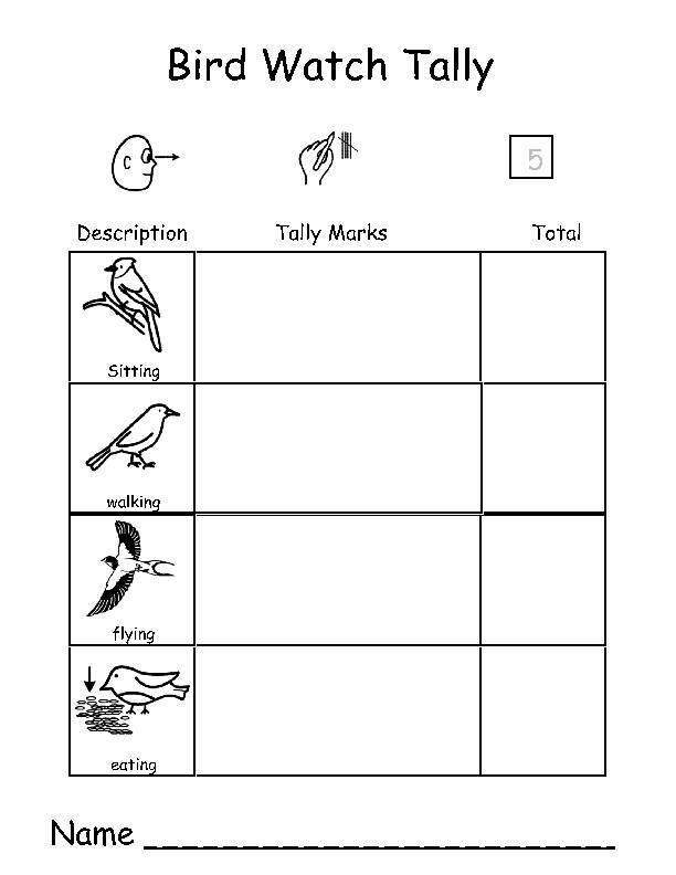 Bird Watch Tally - Outdoor Learning, Fine-Motor, Counting, Numeral Writing