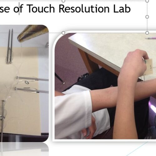 Sense of Touch Resolution Lab's featured image