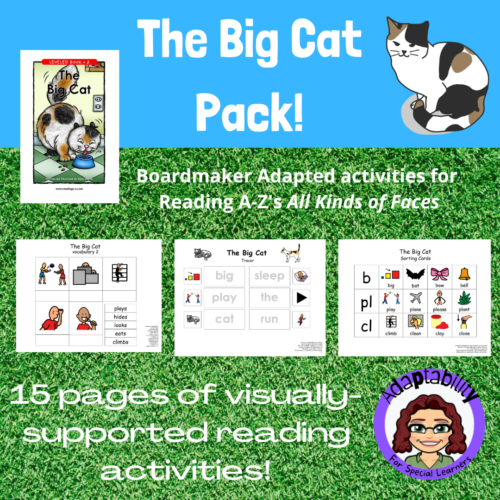 The Big Cat! Boardmaker-adapted activity pack's featured image
