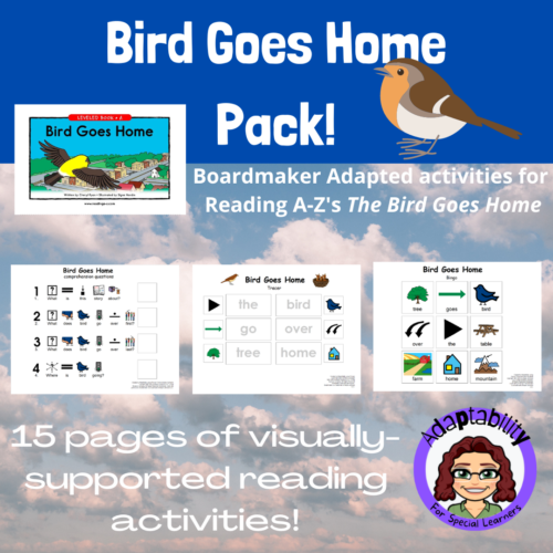 Bird Goes Home! Boardmaker adapted companion activities for special ed's featured image