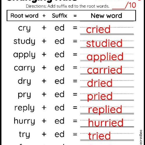 Changing Y to I Spelling Rule | Changing Rule Assessment - Classful