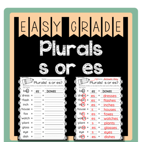 Plurals add s or es | Plurals Assessment's featured image