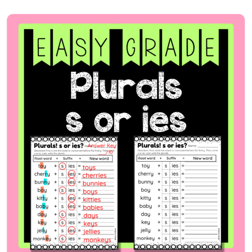 Plurals add s or ies | Changing y to i Spelling Rule | Changing Rule Assessment's featured image