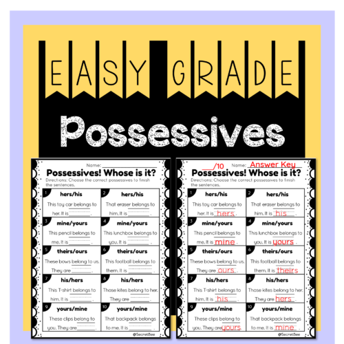 Possessives Assessment's featured image