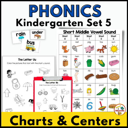 Benchmark Advance Phonics Anchor Charts and Activities | Kindergarten Unit 5's featured image