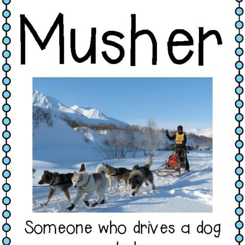 Iditarod Vocabulary Cards's featured image