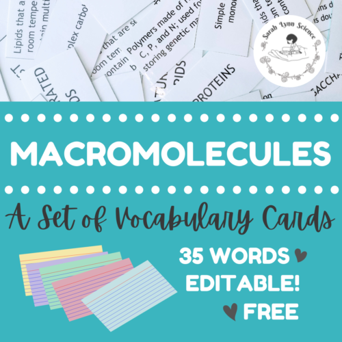 Macromolecules Vocabulary Cards's featured image