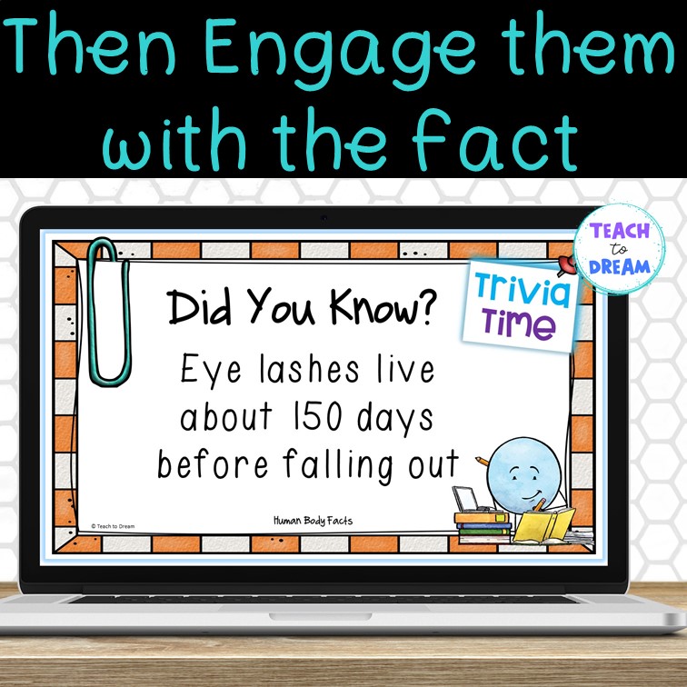 Fact of the Day Posters or Slides - Brain Breaks or Bell-Ringers Trivia  Activity