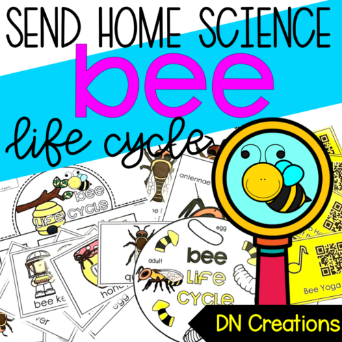 Send Home SCIENCE unit BEE l Bee Lifecycle Activities l Bee Science l Lifecycle of a Bee l Insect Unit for Kindergarten's featured image