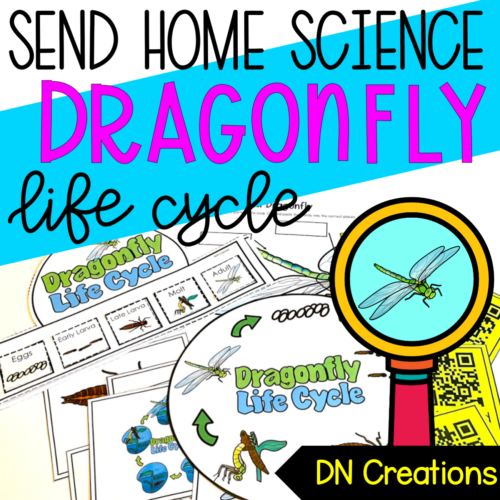 Send Home SCIENCE unit DRAGONFLY l Dragonfly Lifecycle Activities's featured image
