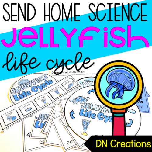 Send Home SCIENCE unit JELLYFISH l Jellyfish Lifecycle Activities's featured image