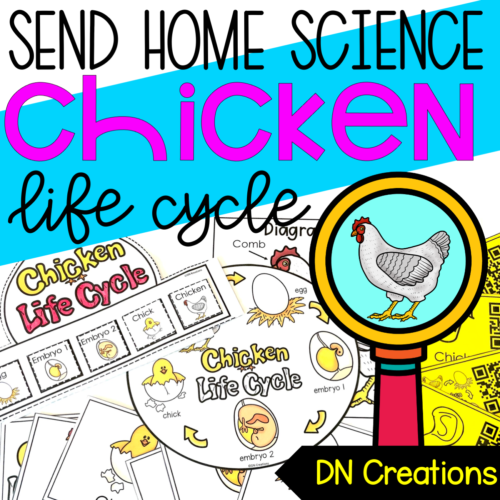 Send Home SCIENCE unit CHICKEN l Chicken Lifecycle Activities l Chicken Research Project l All about Chickens's featured image
