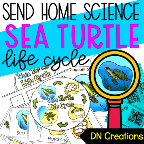 Send Home SCIENCE unit SEA TURTLE l Sea Turtle Lifecycle Activities