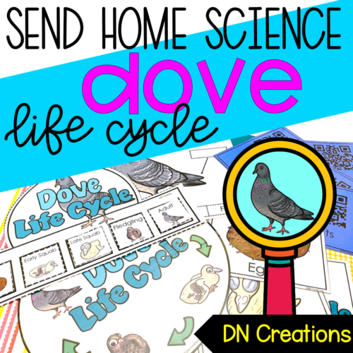 Send Home SCIENCE unit DOVE l Dove Lifecycle Activities l Bird Research Project l All about Birds's featured image