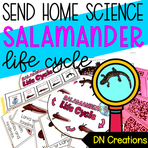 Send Home SCIENCE unit SALAMANDER l Salamander Lifecycle Activities