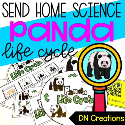 Send Home SCIENCE unit PANDA l Panda Lifecycle Activities l Panda Activity l All about Pandas l Panda Research Kinder's featured image