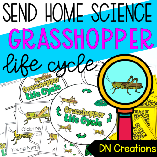 Send Home SCIENCE unit GRASSHOPPER l Grasshopper Lifecycle Activities l Grasshopper Science l Grasshopper Activity's featured image
