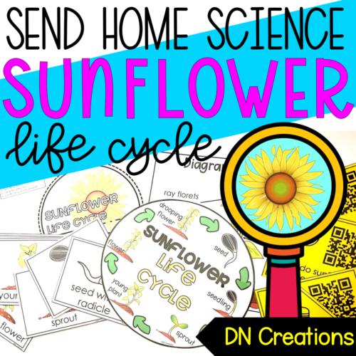 Send Home SCIENCE unit SUNFLOWER l Sunflower Lifecycle Activities l Sunflower Science l Plant Life Cycle Unit's featured image