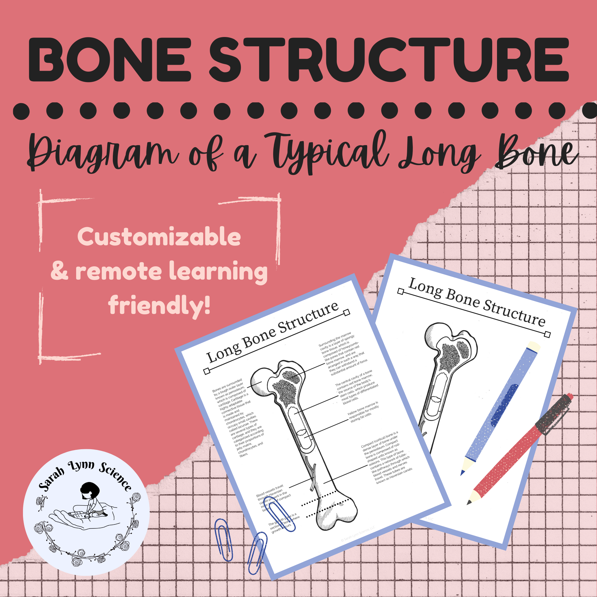 Long Bone Structure Diagram