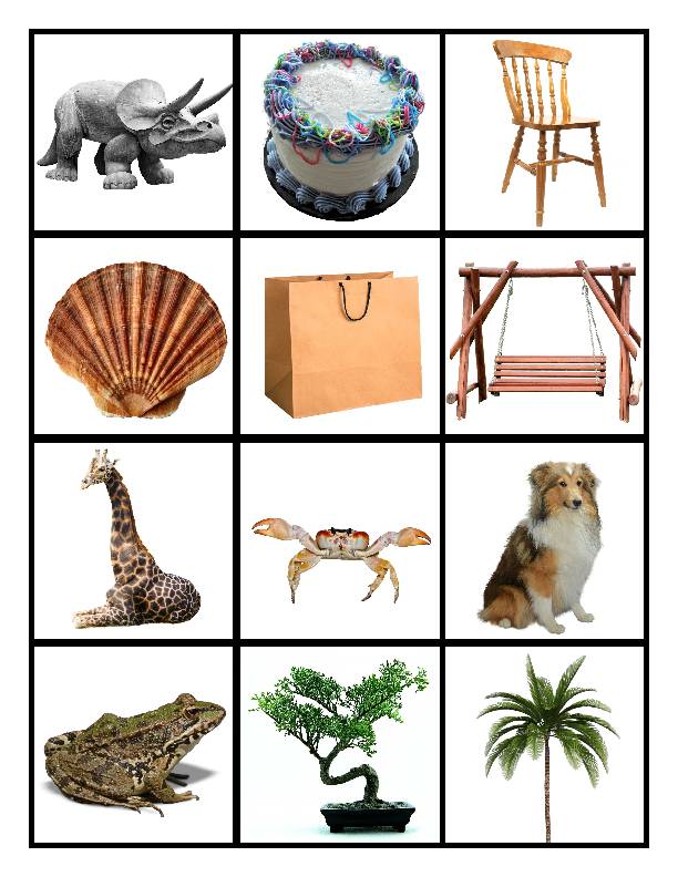 Living and Nonliving Things Sorting Activity Classful