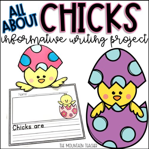 All About Chicks Informative Craft | Spring Writing Prompt and Bulletin Board's featured image