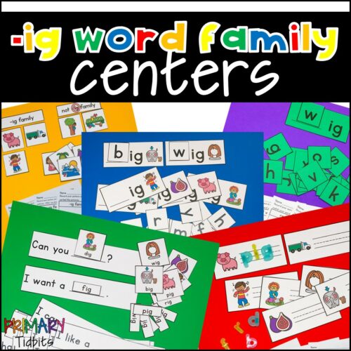 CVC Word Family Activity Centers for ig Word Family's featured image