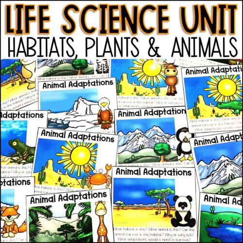 Life Science Unit | Animal Worksheets and Habitat Activities's featured image
