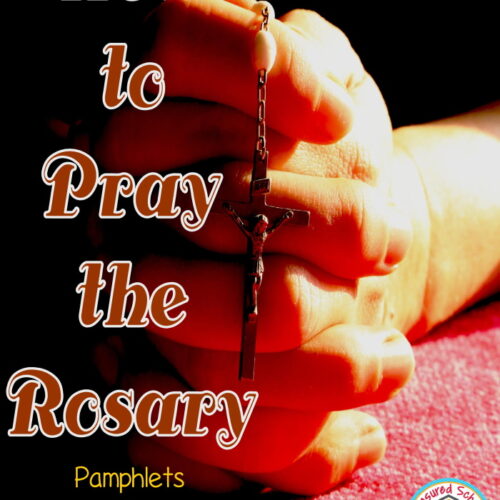 How to Pray the Rosary's featured image