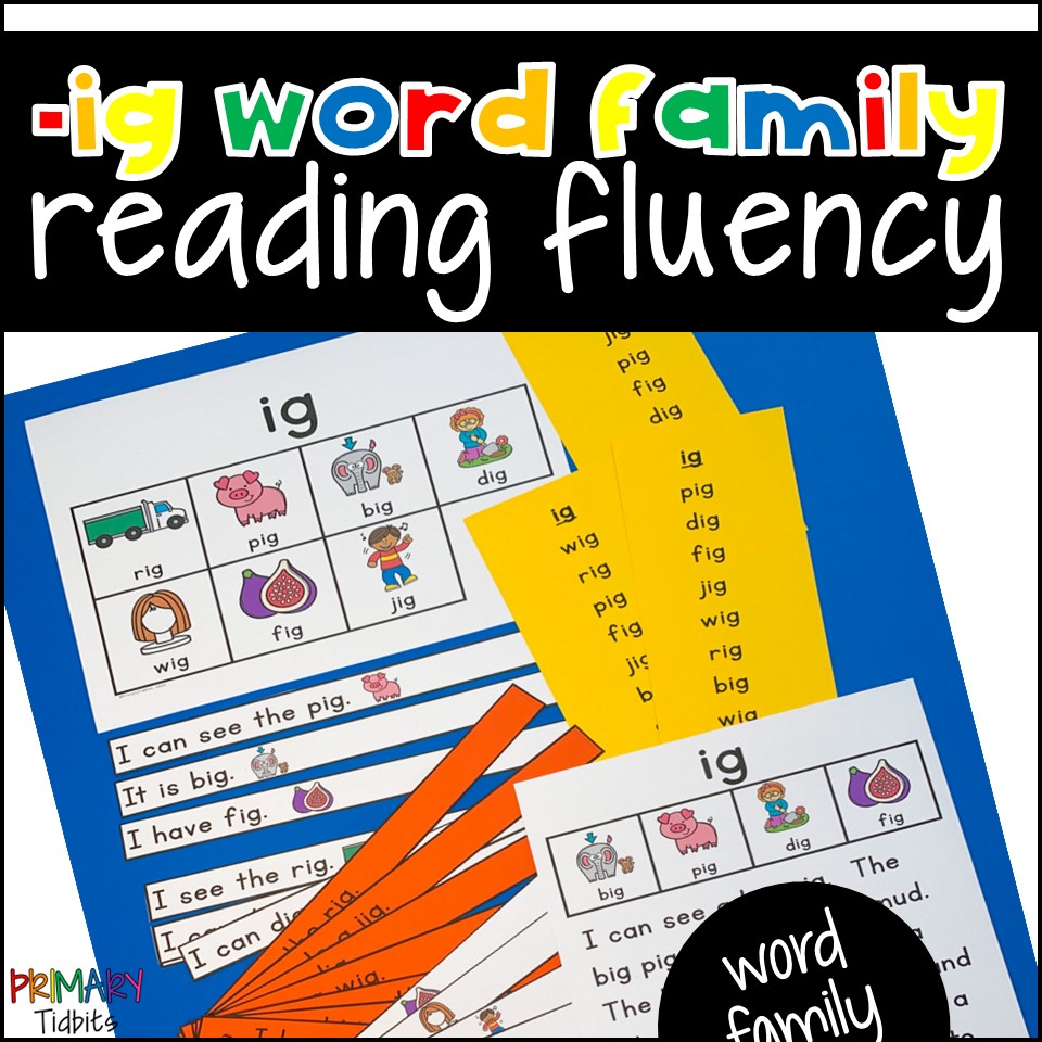 CVC Word Reading Fluency for ig Word Family