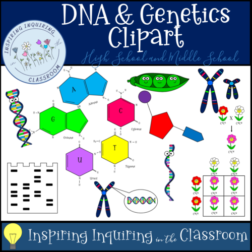 DNA & Genetics Clipart's featured image