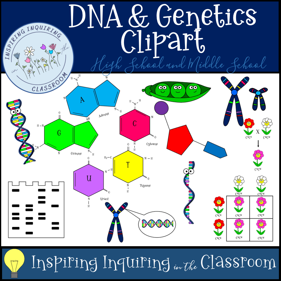 DNA & Genetics Clipart