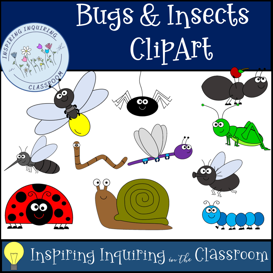 Bugs & Insects Clipart
