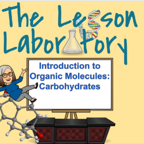 Introduction to Organic Molecules: Carbohydrates's featured image