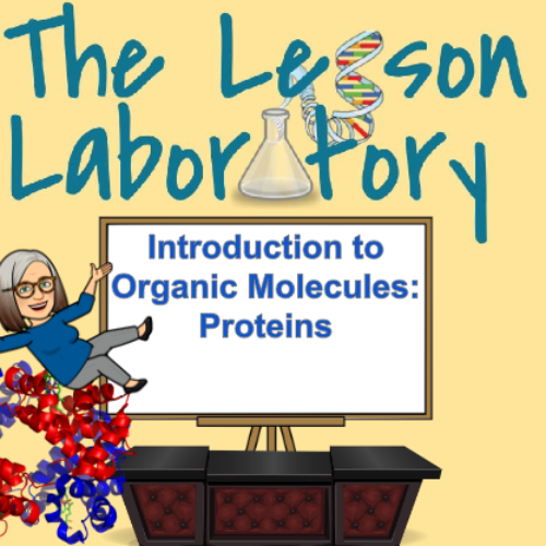 Introduction to Organic Molecules: Proteins's featured image
