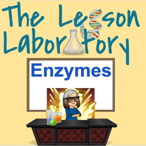 Enzymes's featured image