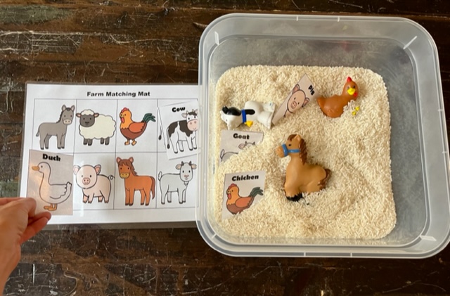 farm-sensory-bins-activities-centers-for-preschool-special-education-classful