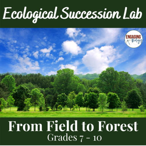 Ecological Succession Lab Activity's featured image