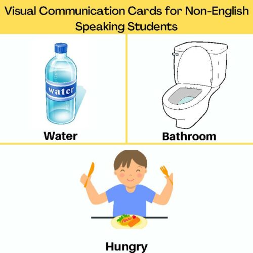 Visual Communication Cards for Non-English Speaking Students's featured image
