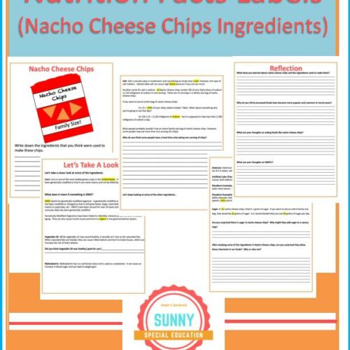 Food Labels and Ingredient Lists (Nacho Cheese Chips Ingredients Guided Notes)'s featured image