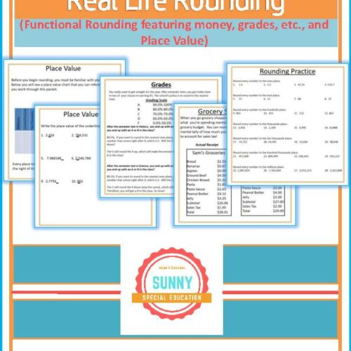 Real Life Rounding, Functional Rounding and Place Value's featured image
