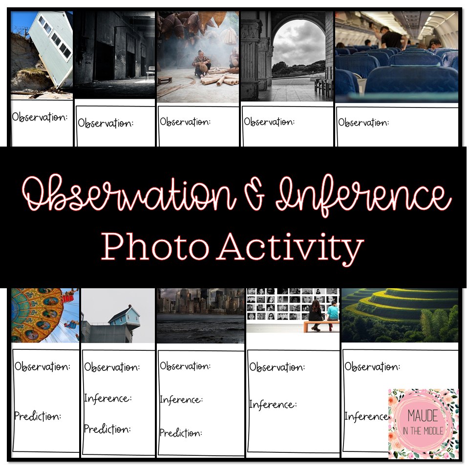 Observation vs. Inference Photo Activity