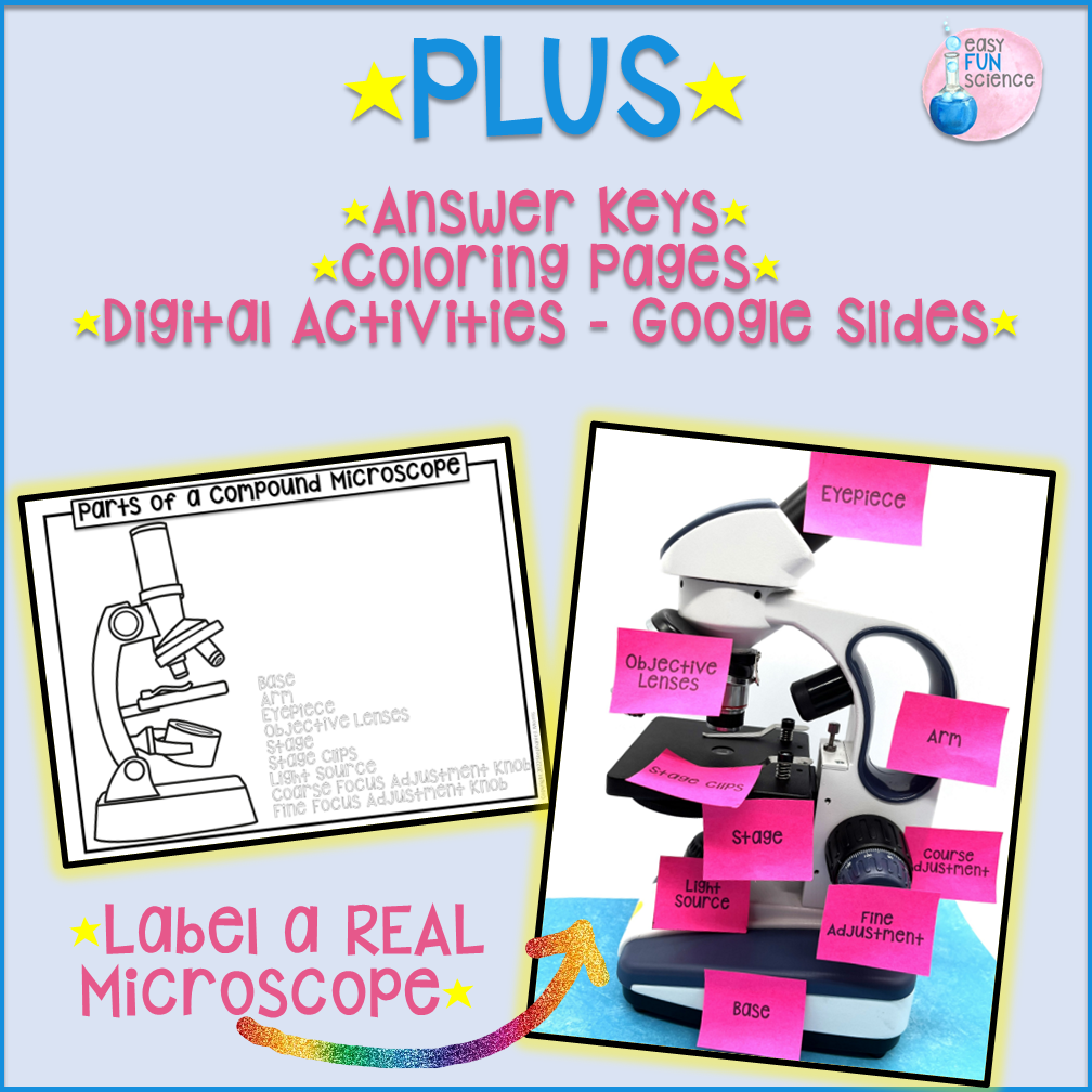 microscope parts labeled for kids