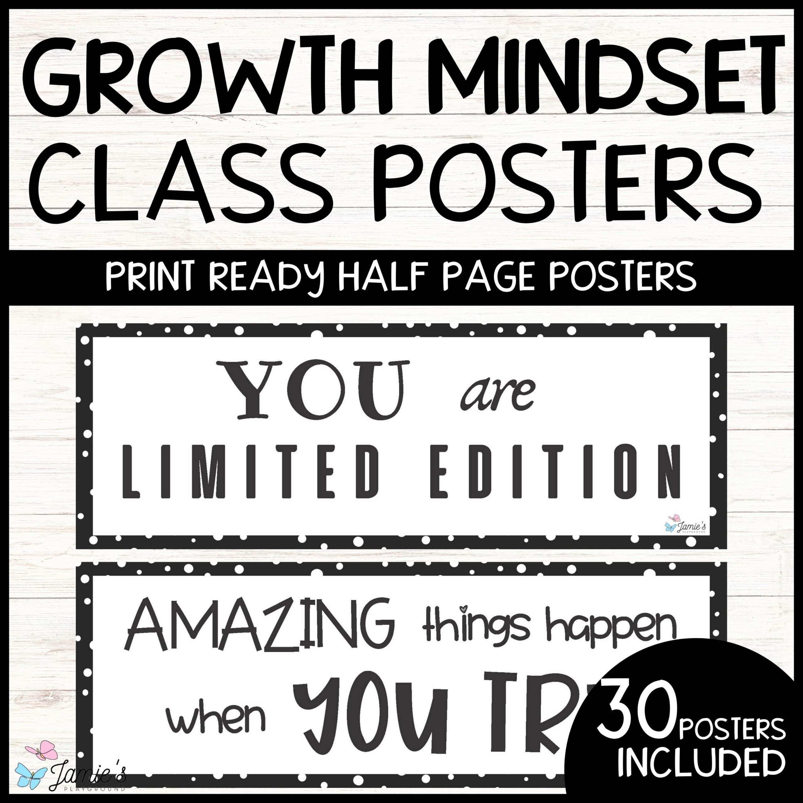 Classroom Growth Mindset & Inspirational Posters (B&W) - Classroom Decoration